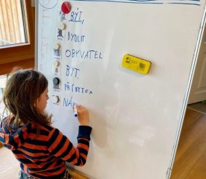 Škola za bukem (100)