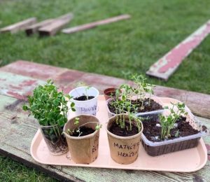 Škola za bukem (13)