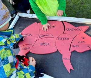 Škola za bukem (32)