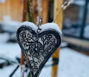 Škola za bukem (50)