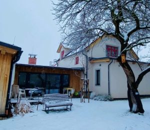 Škola za bukem (51)