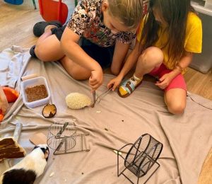 Škola za bukem (62)