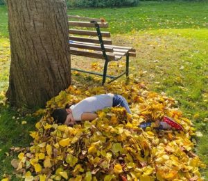 Škola za bukem (78)