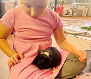 Škola za bukem (89)