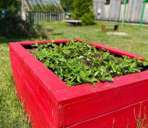 Škola za bukem (91)